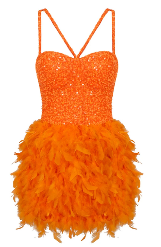 Feathers Mini Dress