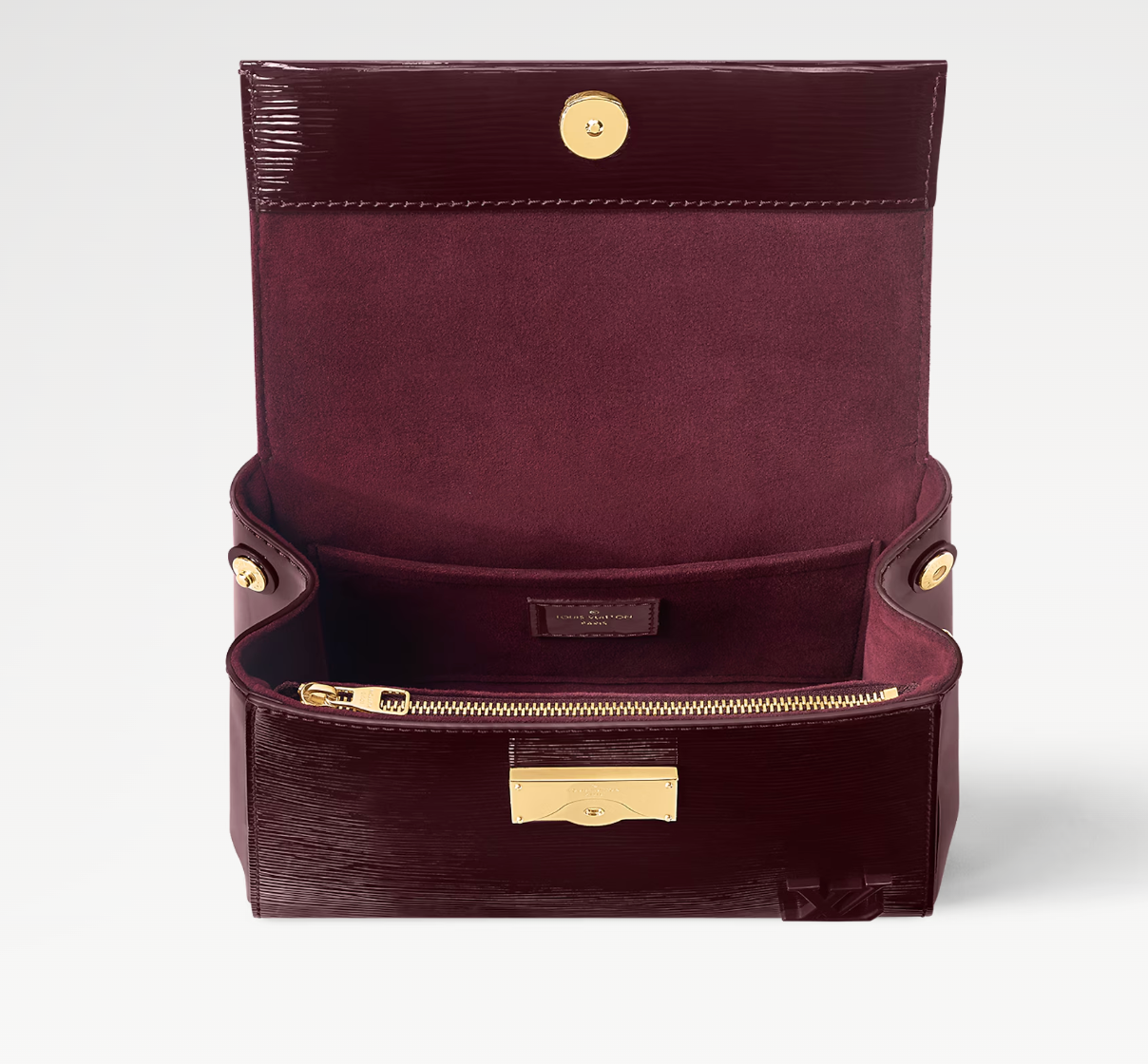 Louis Vuitton Cluny Mini