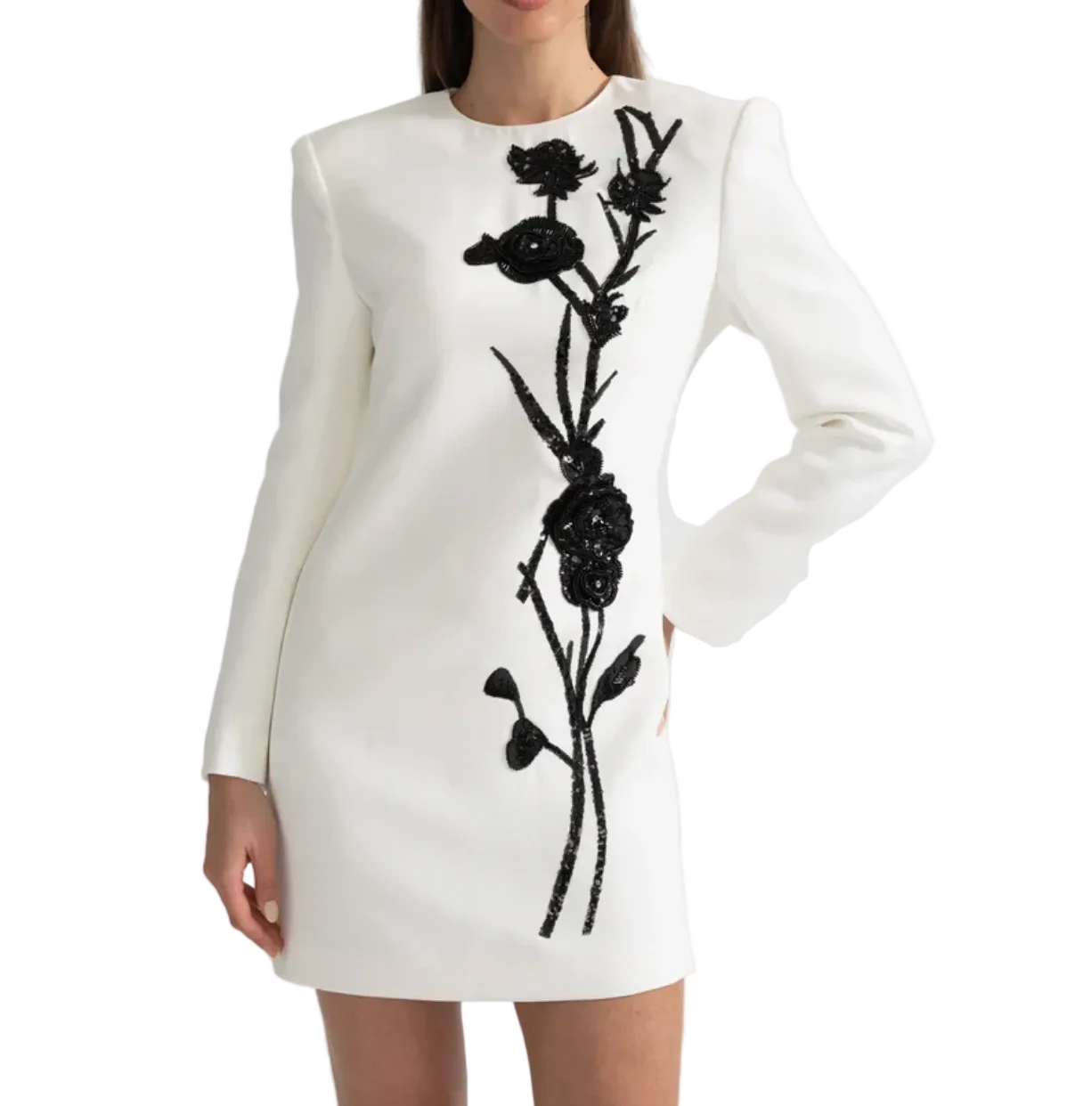 White Long Sleeved Mini Dress