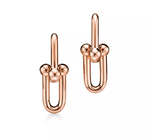 Tiffany Medium Link Earrings