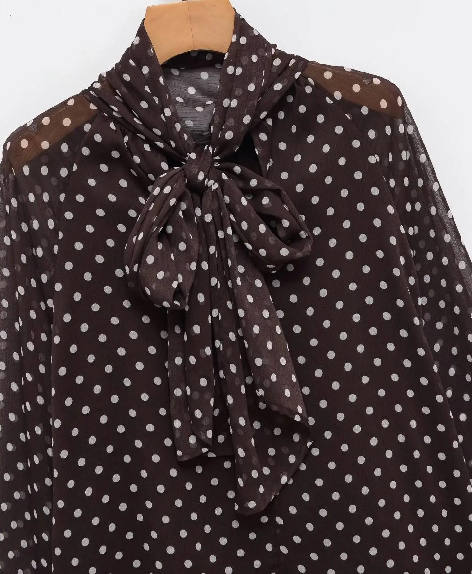 Silk polka dot blouse (YSL)