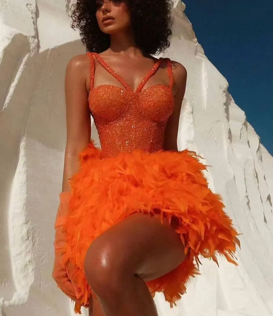 Feathers Mini Dress