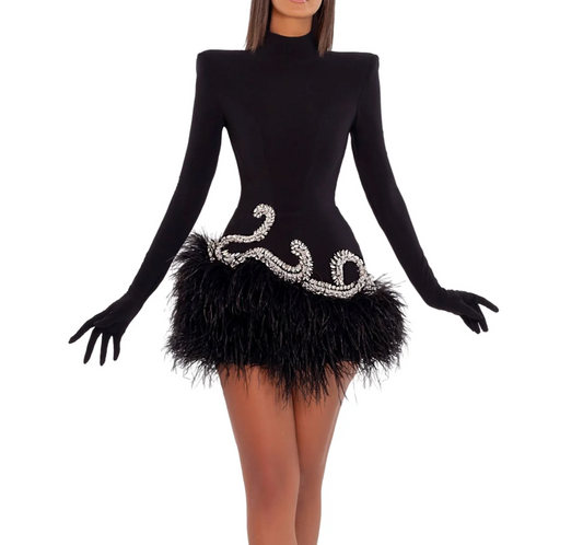 Short Black Feathers Dress