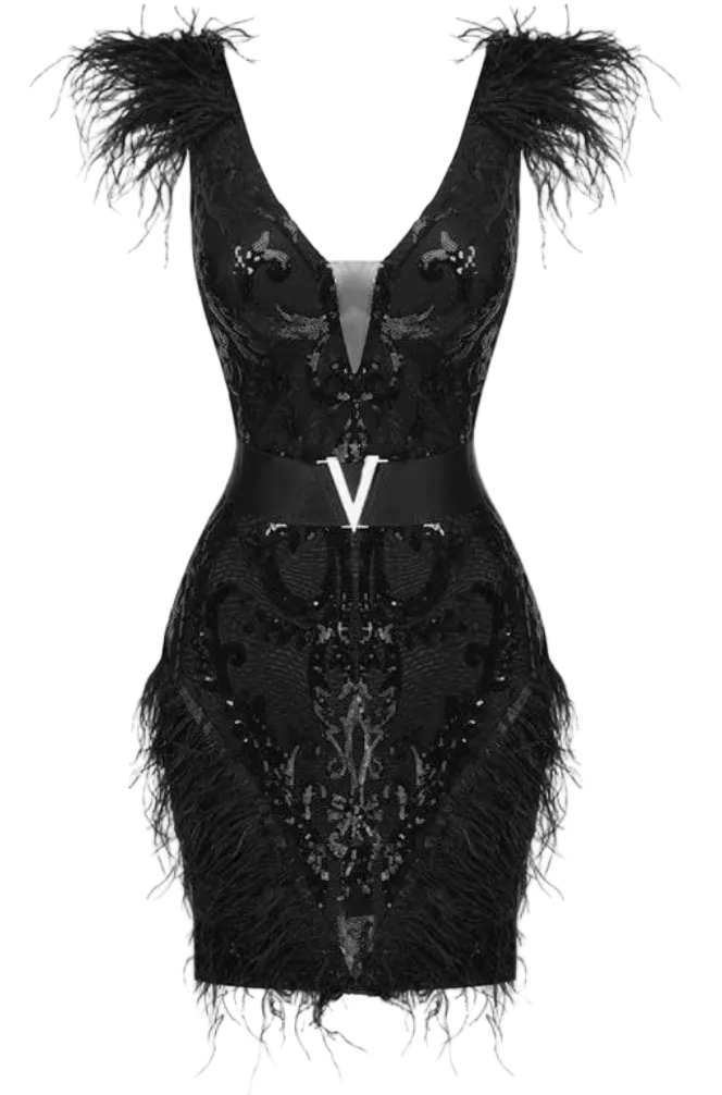 Mini dress deep V-neckline