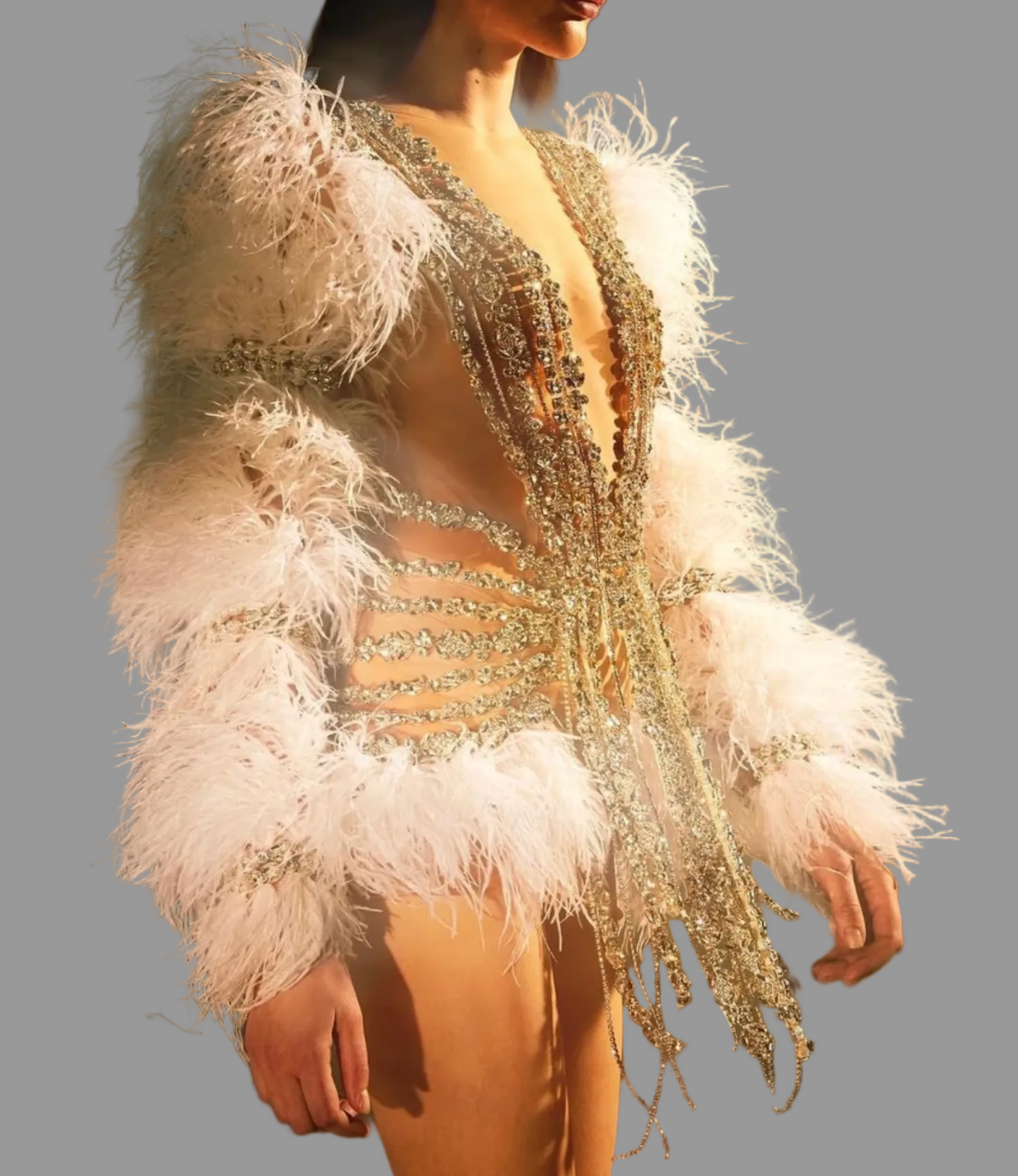 Feather and crystal rhinestone-embellished mini dress