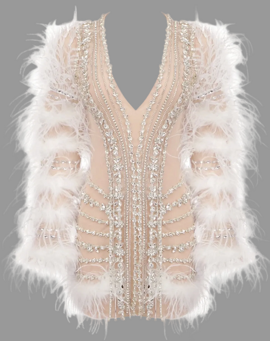 Feather and crystal rhinestone-embellished mini dress
