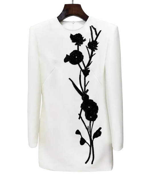 White Long Sleeved Mini Dress