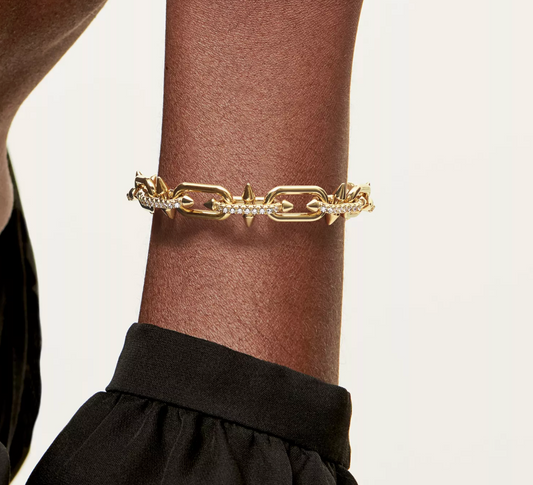 Tiffany Titan by Pharrell Williams Link Bracelet