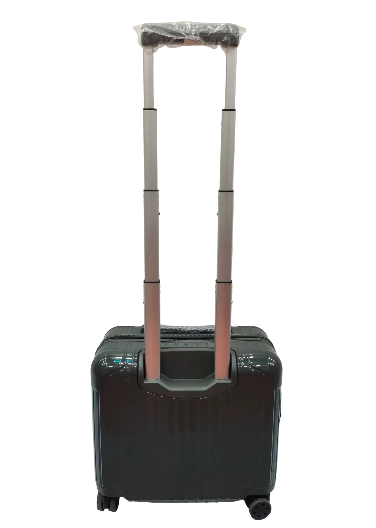 RIMOWA Essential Sleeve Compact Mini