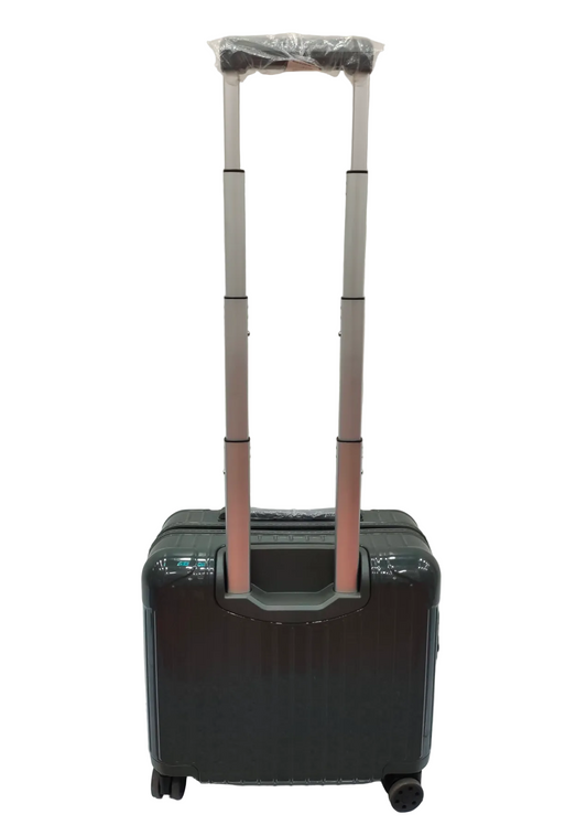 RIMOWA Essential Sleeve Compact Mini