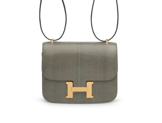 Hermès Constance 18 Mini Bag (Niloticus Lizard Leather)