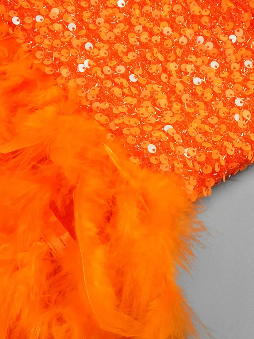 Feathers Mini Dress