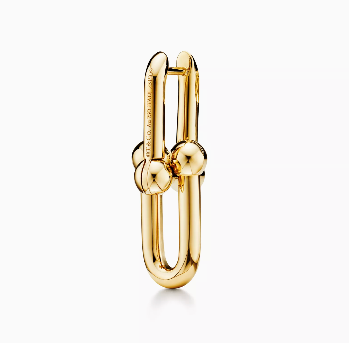 Tiffany Medium Link Earrings