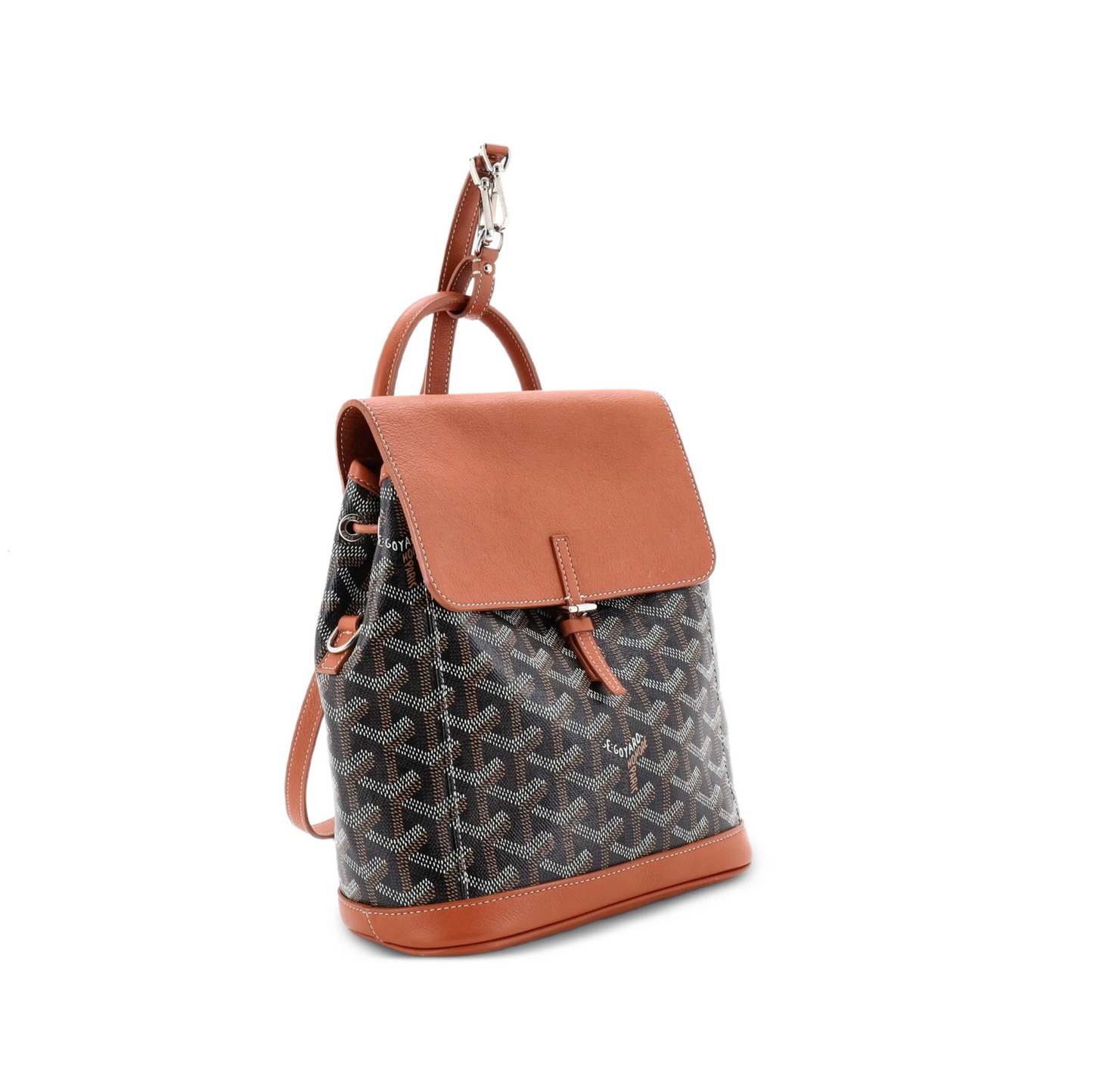 Maison Goyard Alpin Backpack