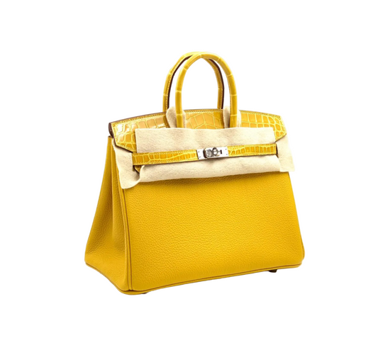 Hermès Birkin Touch Handbag