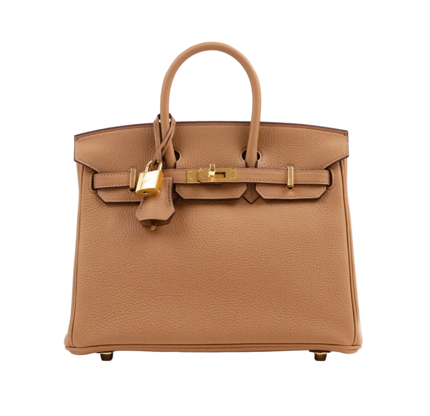 Hermès Birkin 25 Handbag